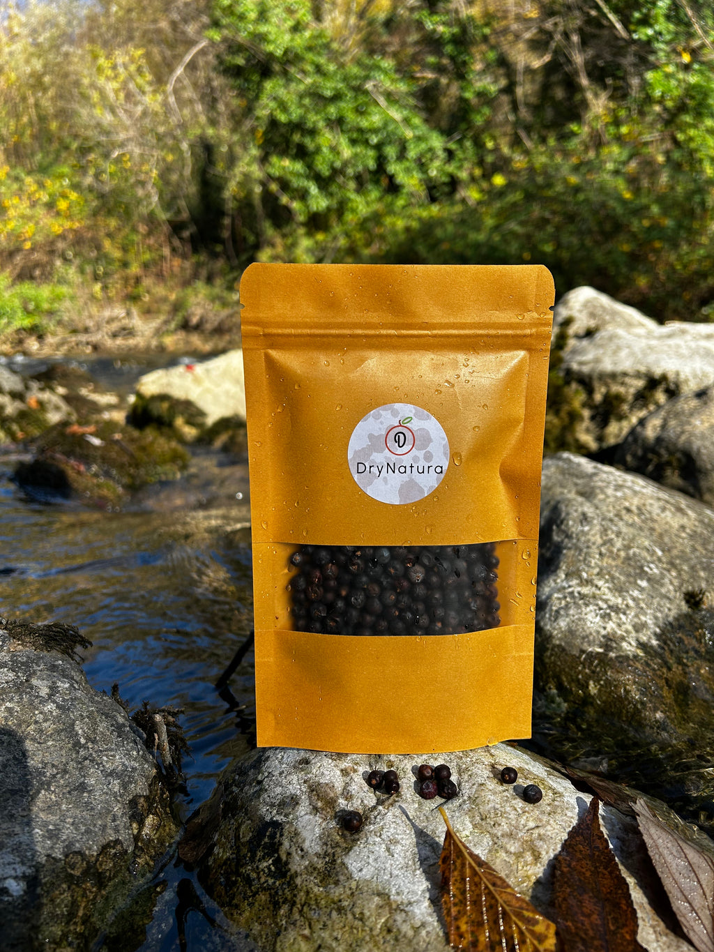 Dehidrirana borovnica