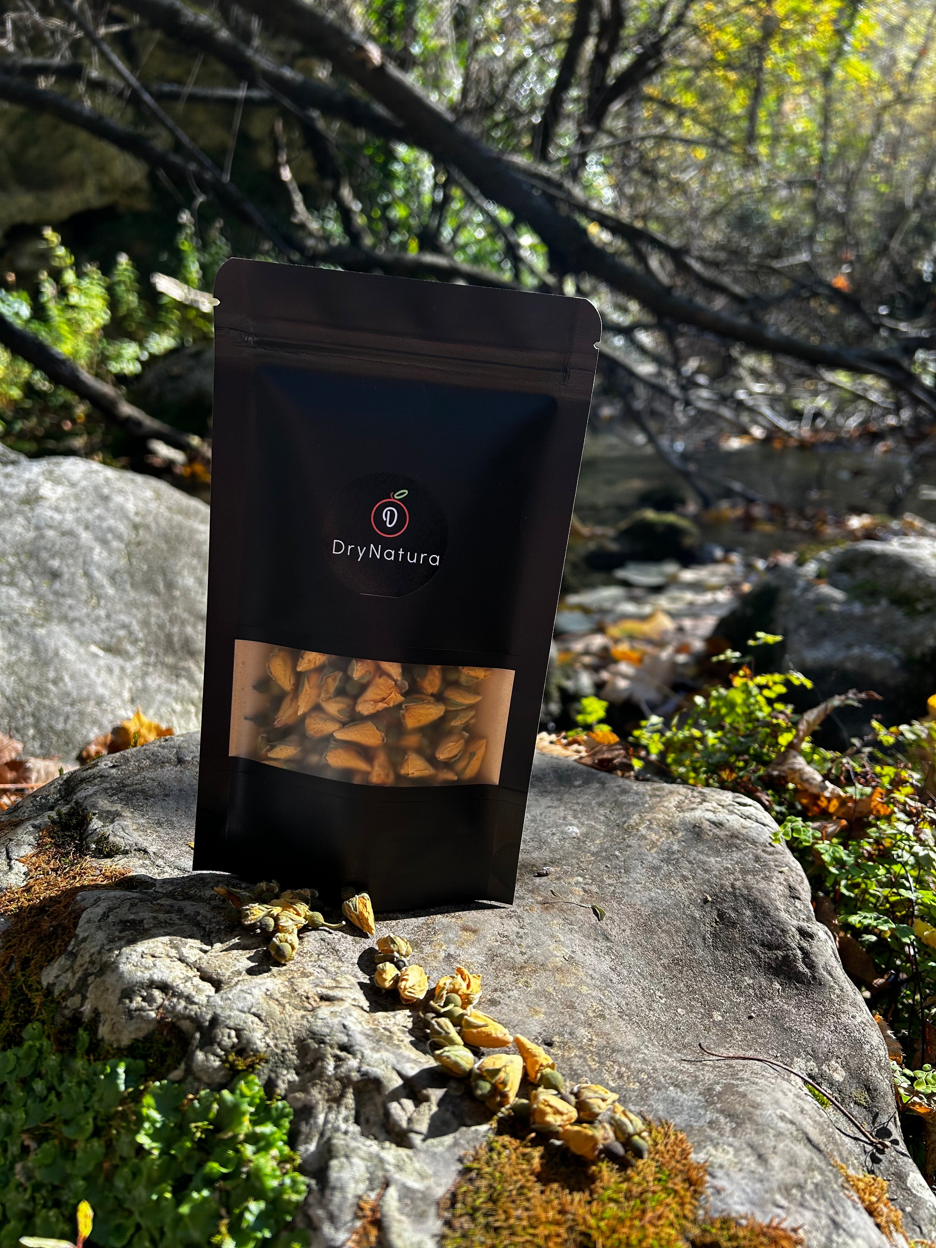 Pupoljak perzijske ruže - žuti